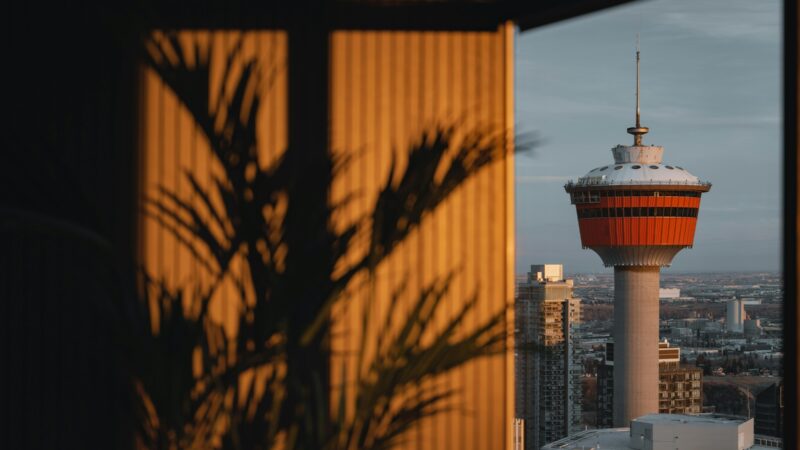 the calgary tower